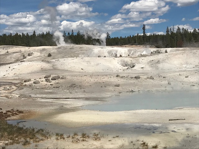 norris geyser