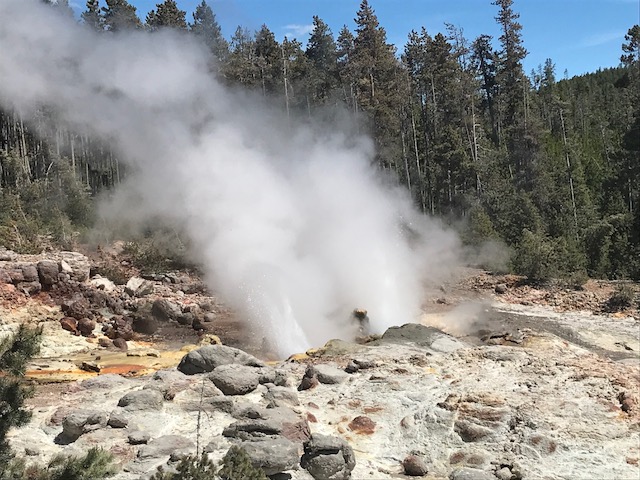 steamboat geyser (2)
