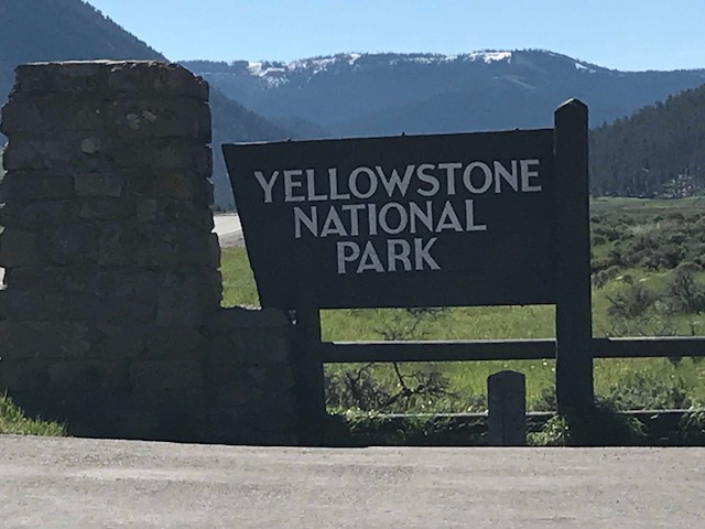 yellowstone 1