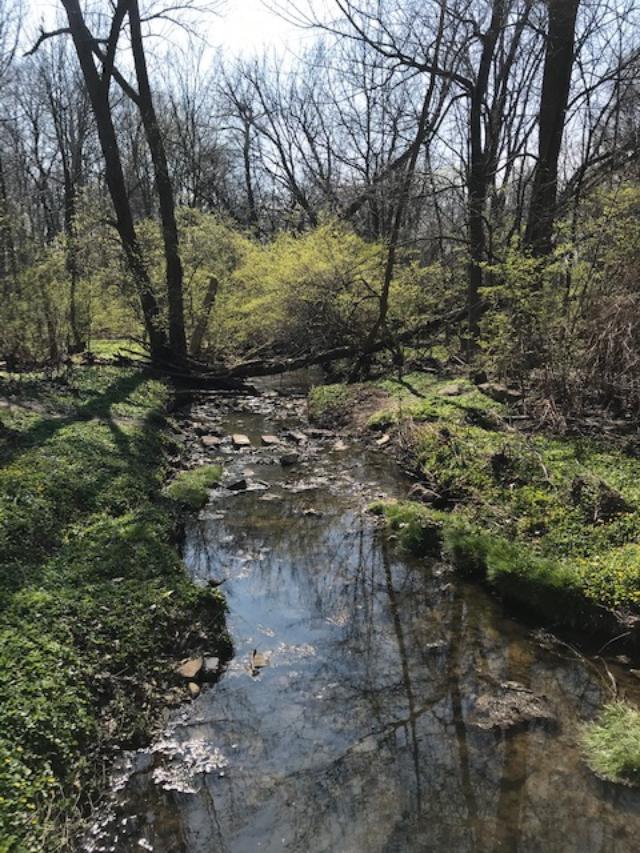 IMG_0323 spring is beautiful